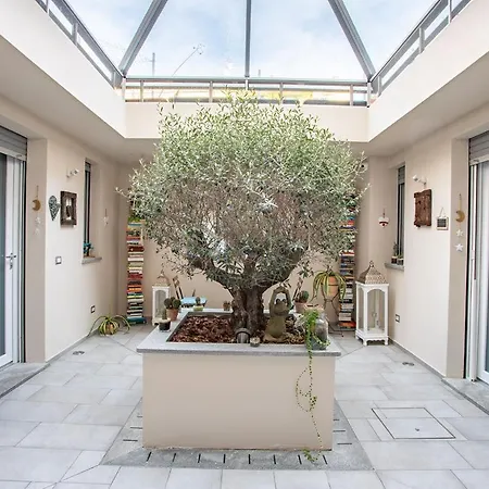 Πανσιόν Little Square